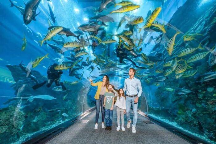 Dubai underwater zoo